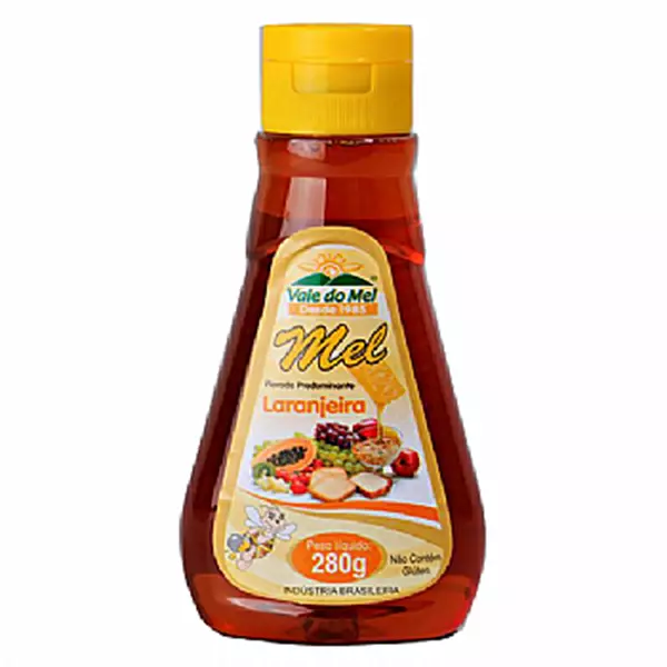 Mel Bisnaga Laranjeira 280g Vale do Mel