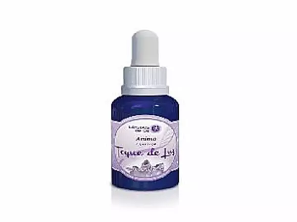 Toque de Luz, 30ml - Ânimo (Esperança)