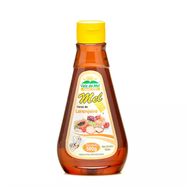 Mel Bisnaga Laranjeira 500g Vale do Mel