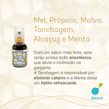 Spray Para Garganta - Mel, Própolis, Malva, Tanchagem, Alcaçuz e Menta, 35ml - Vale Do Mel