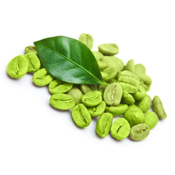 Cafe verde em capsulas para acelerar metabolismo